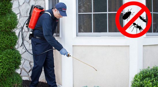 Tosya Dezenfeksiyon böcek ilaçlama ve haşere kontrolü — ilaclama-tr.com